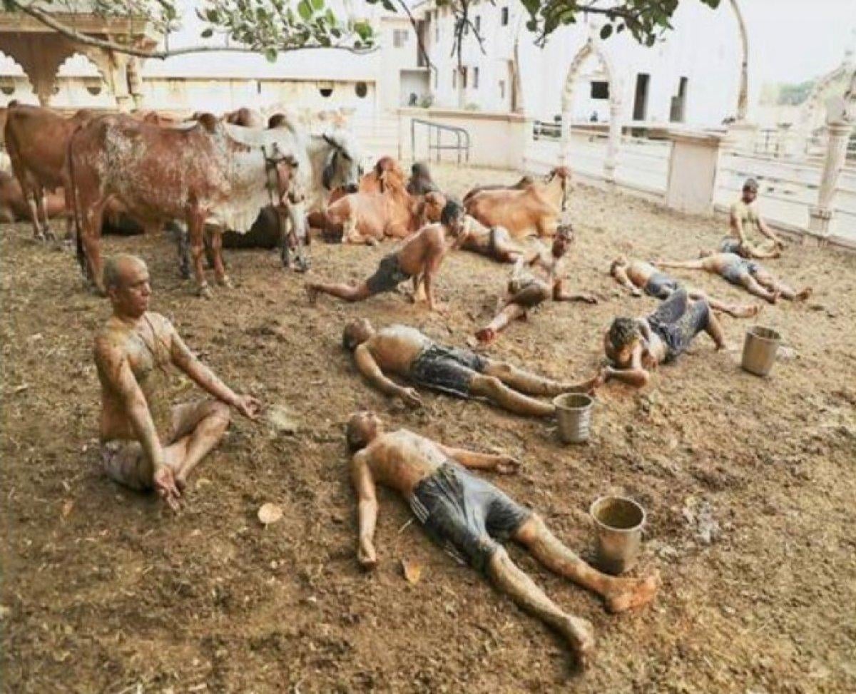 Hindistan inek barınağı