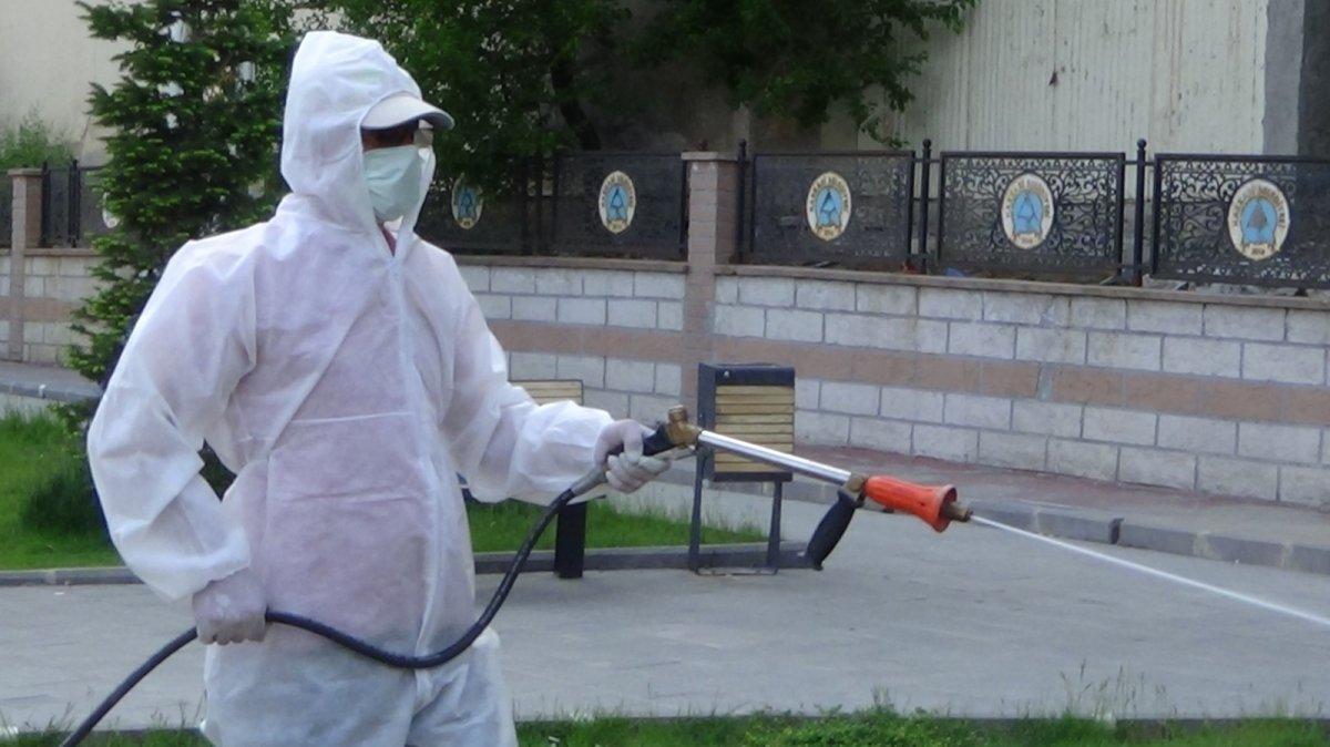 Hakkari’de çekirge istilası