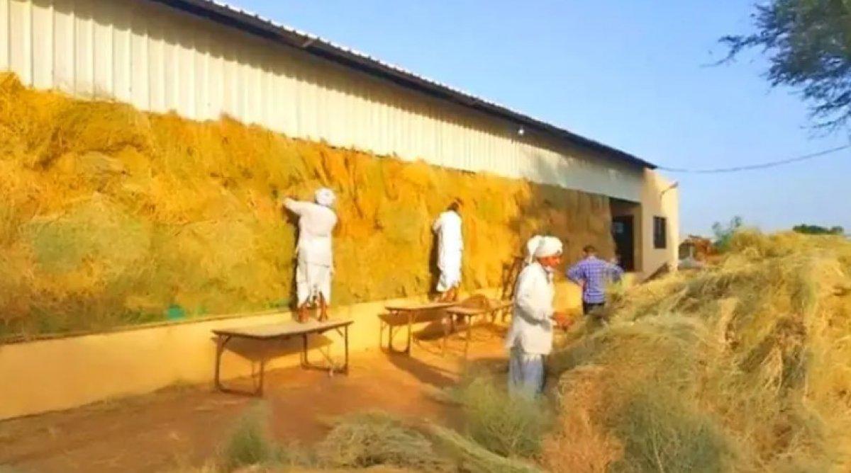 Hindistan inek barınağı