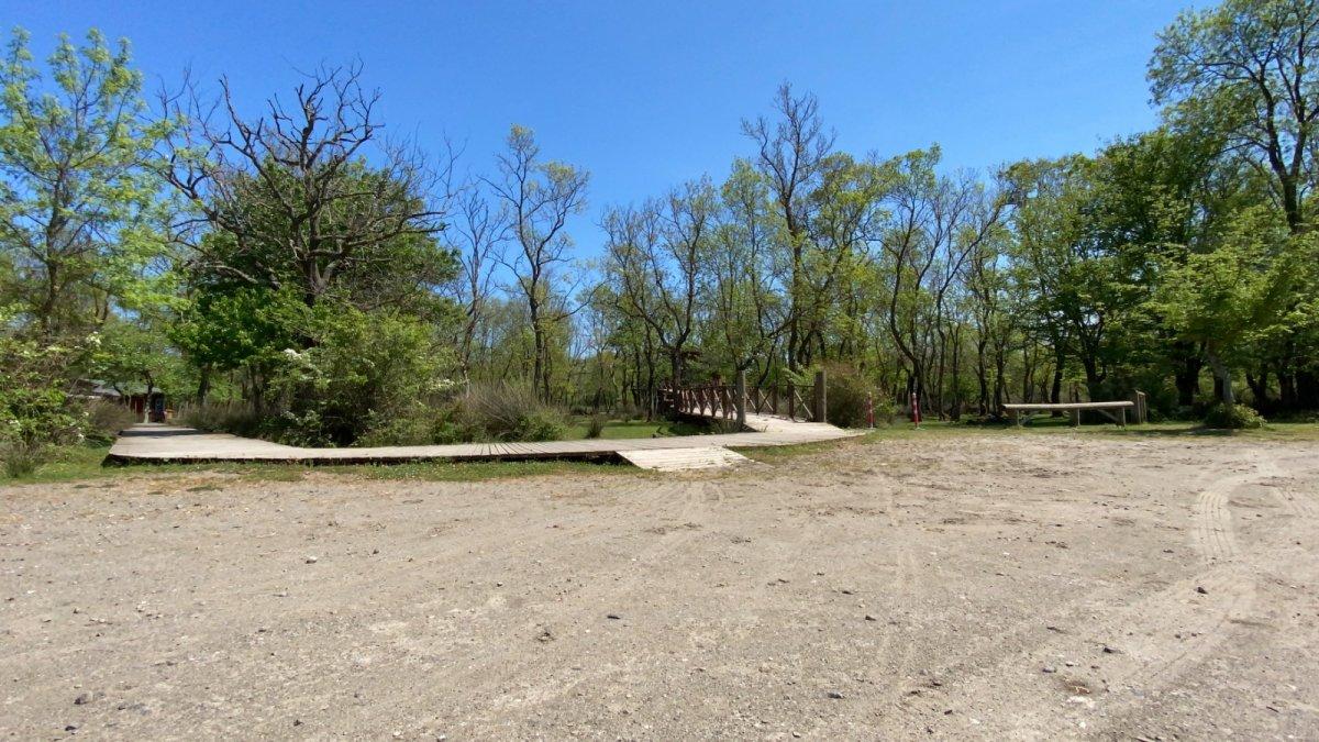 Galeriç ormanında düğün organizasyonu yapılmasına doğaseverlerden tepki