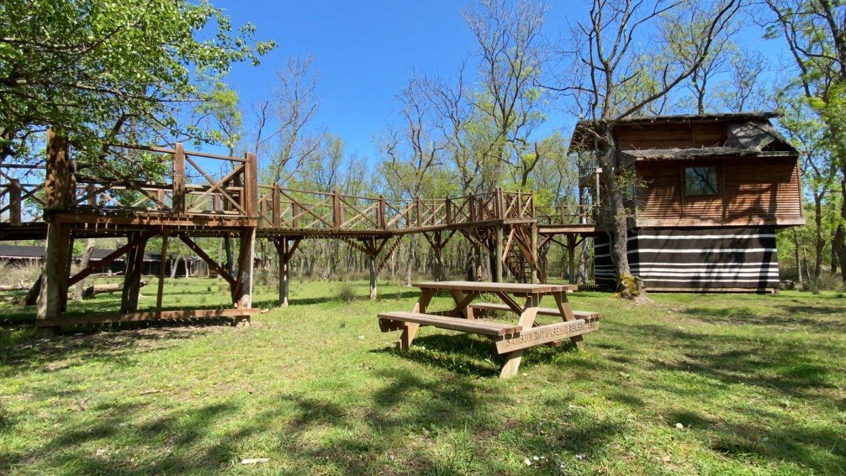 Galeriç ormanında düğün organizasyonu yapılmasına doğaseverlerden tepki