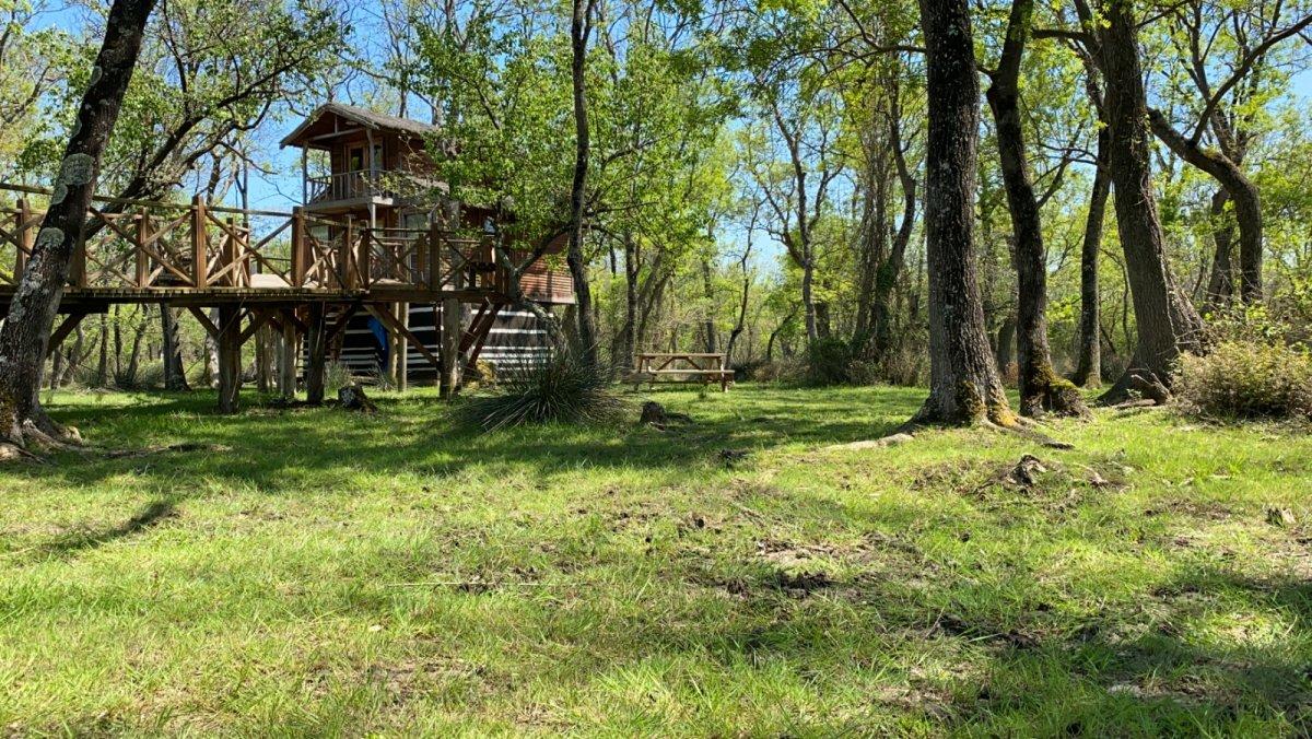 Galeriç ormanında düğün organizasyonu yapılmasına doğaseverlerden tepki