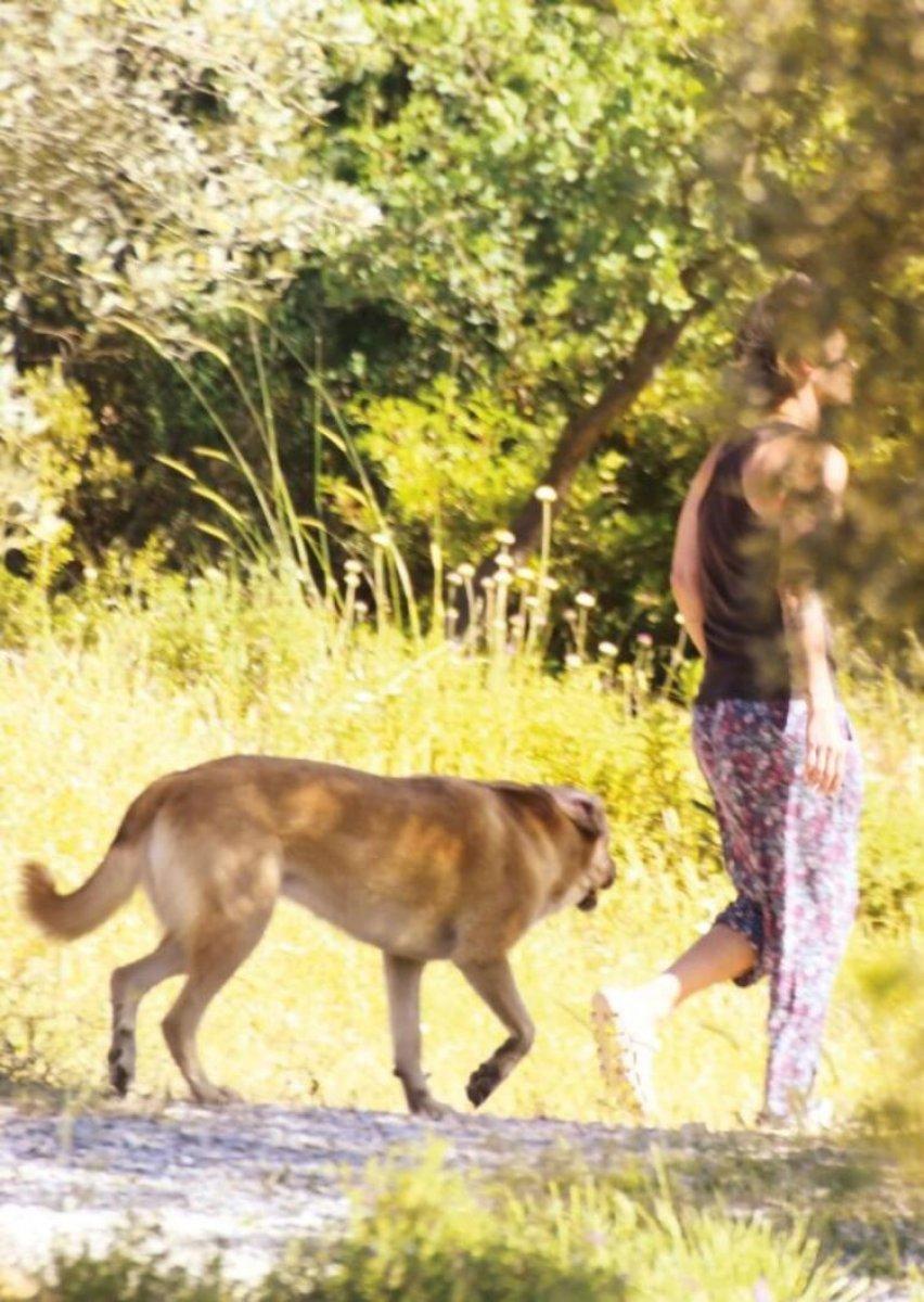 Özlem Tekin'in çiftlik hayatı