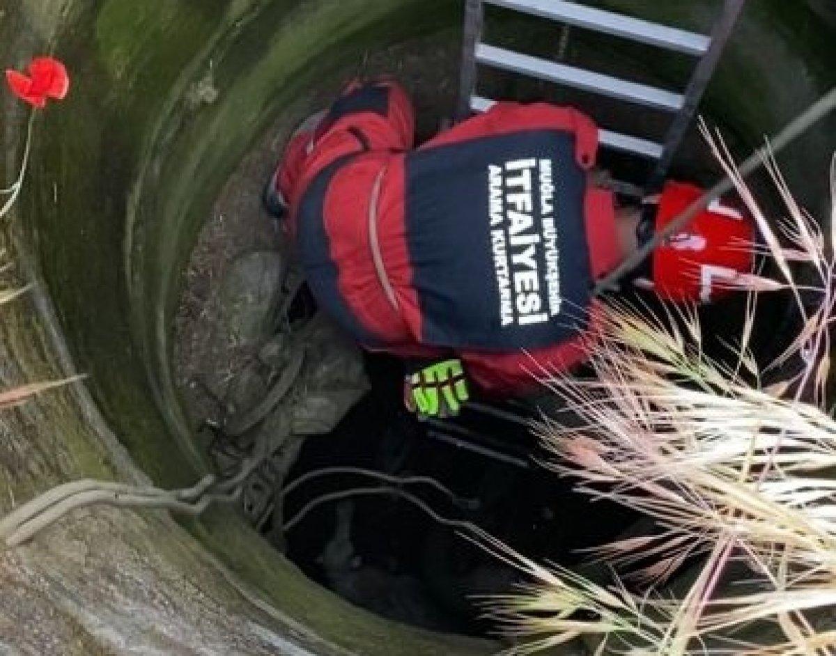 Muğla'da kuyuya düşen koyun itfaiye ekiplerince kurtarıldı