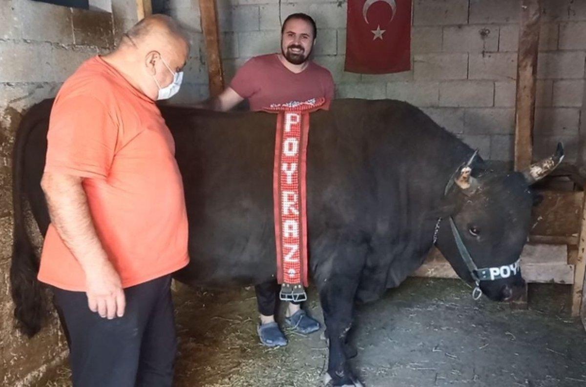 Artvin'de boğasına bayramlık aldı