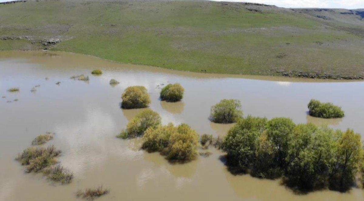 Kars'ta, ağaçların suya yansıması güzel görüntüler oluşturdu
