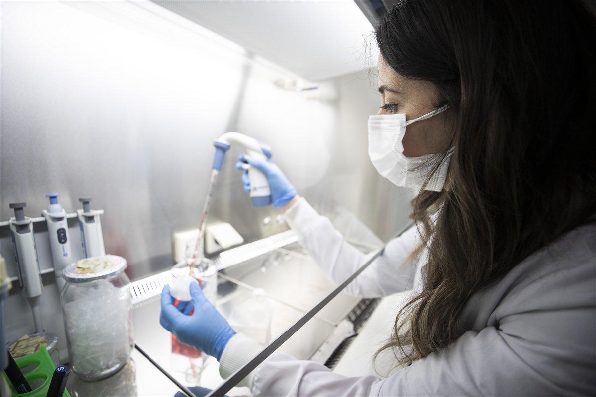 Mustafa Varank: VLP aşısında da Faz 2'ye geçmeyi planlıyoruz