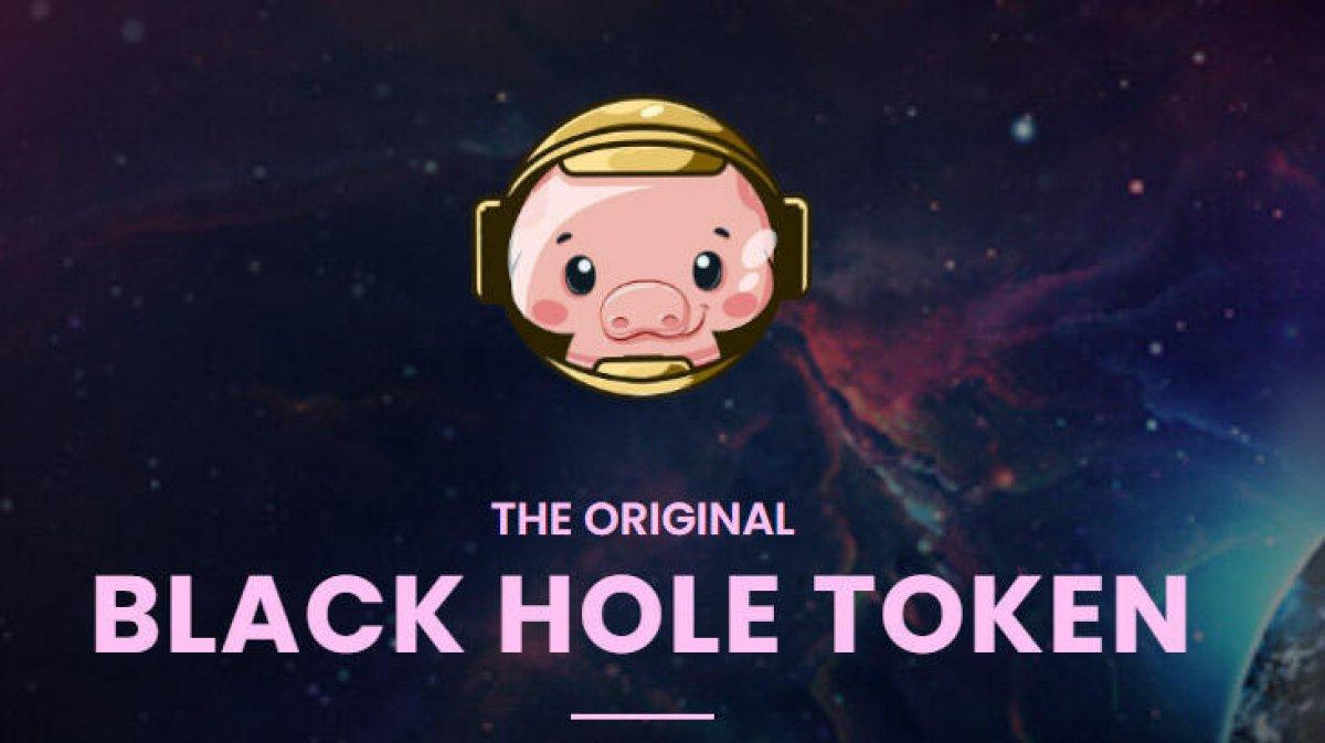 Pig Coin nedir? Pig Coin özellikleri ve fiyatı..