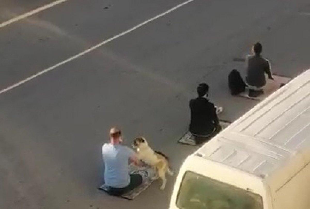 Manisa'da bayram namazındaki köpek cemaatin yanından ayrılmadı