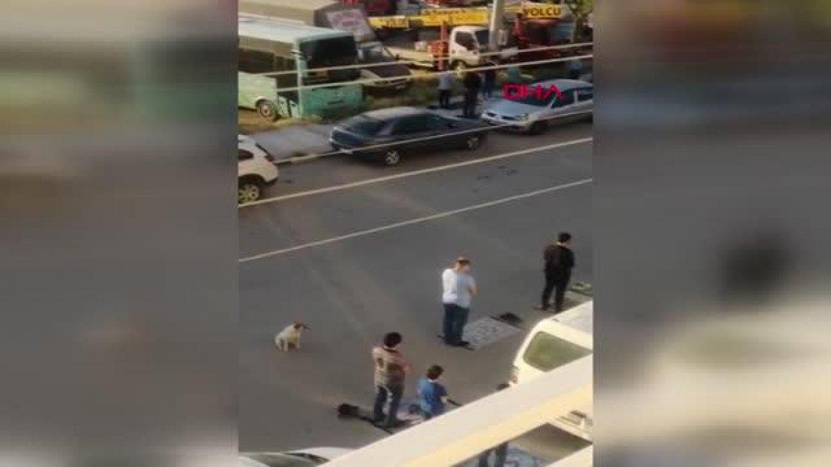 Manisa'da bayram namazındaki köpek cemaatin yanından ayrılmadı