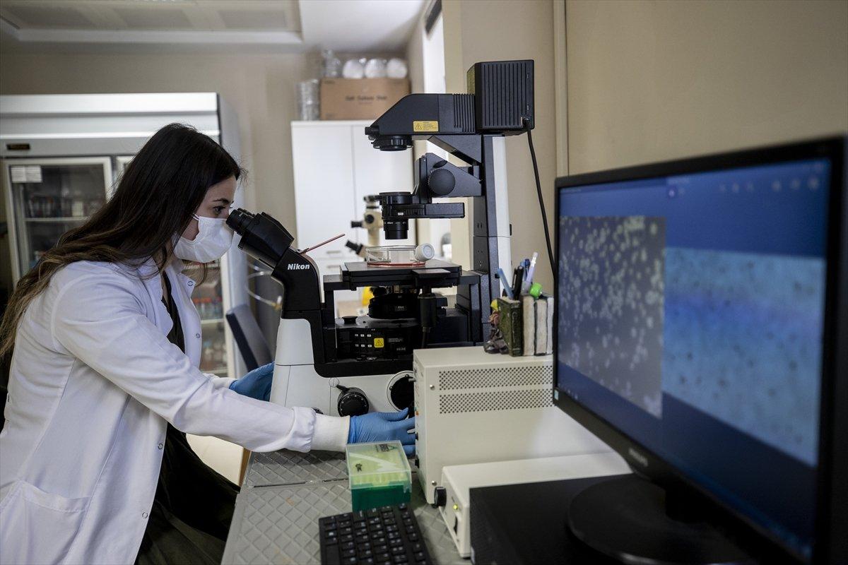 Mustafa Varank: VLP aşısında da Faz 2'ye geçmeyi planlıyoruz