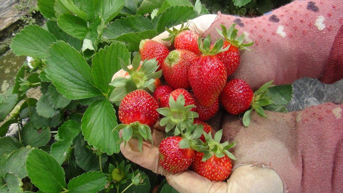 Bayram sonrası beslenmeye dikkat