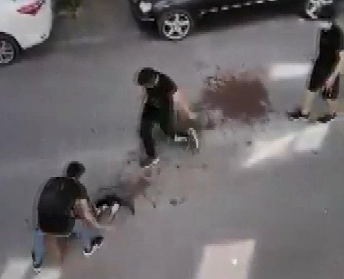 Avcılar'da pitbull, kediyi öldürdü