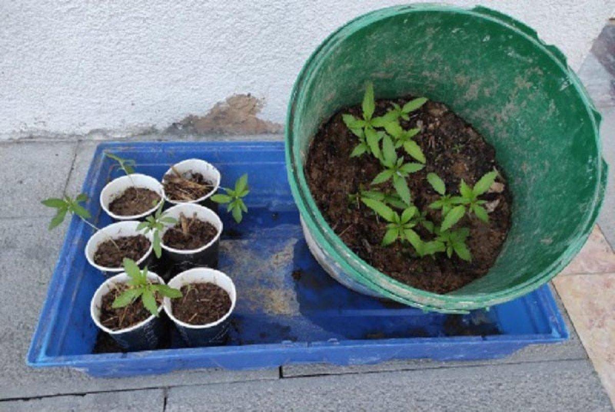 Eskişehir'de sahte içki operasyonu