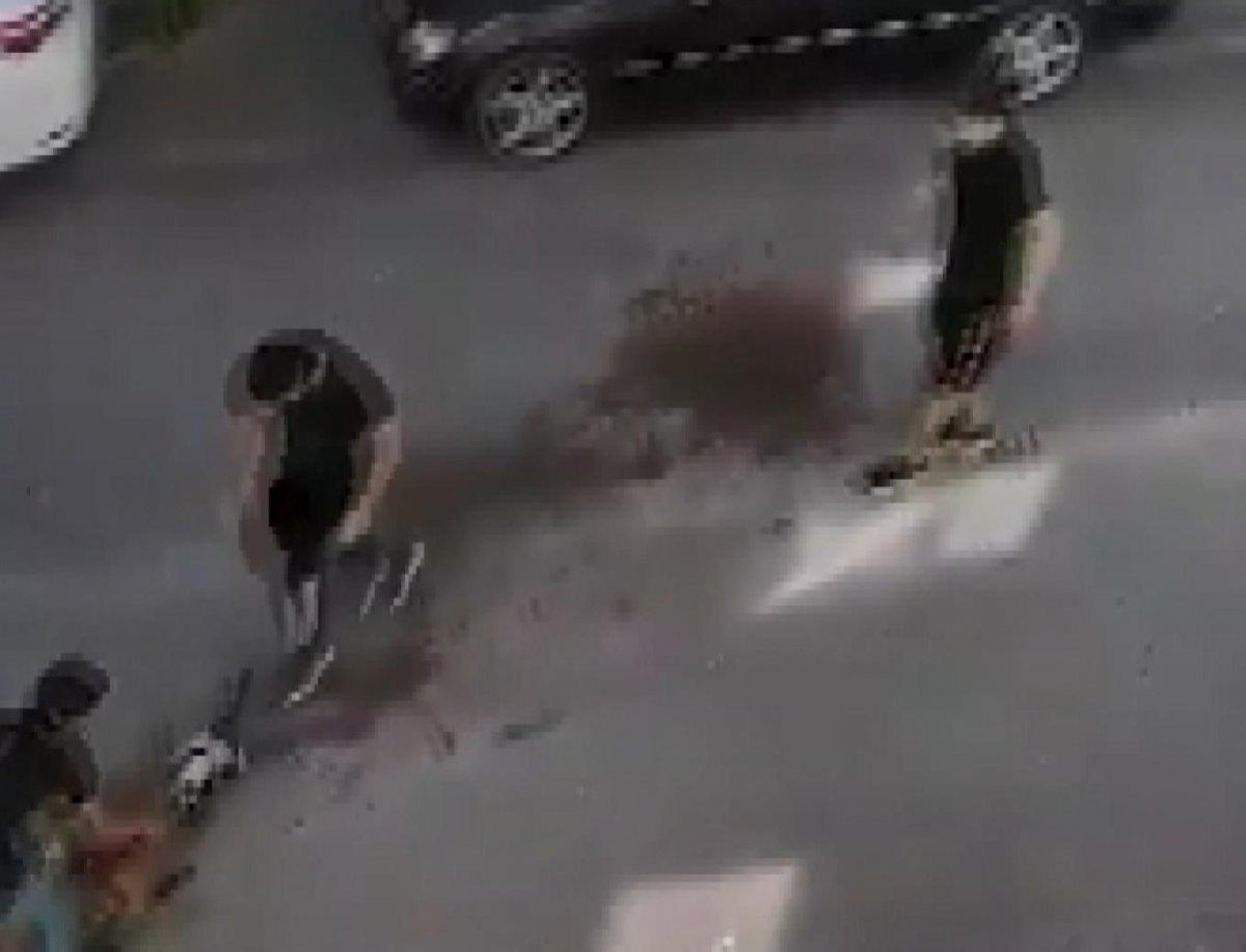 Avcılar'da pitbull, kediyi öldürdü