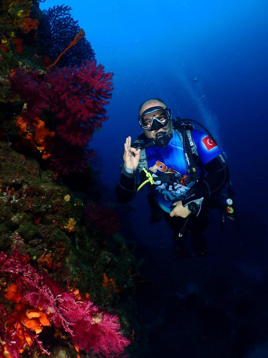 Ayvalık'ın kırmızı mercanları keşfedilmeyi bekliyor