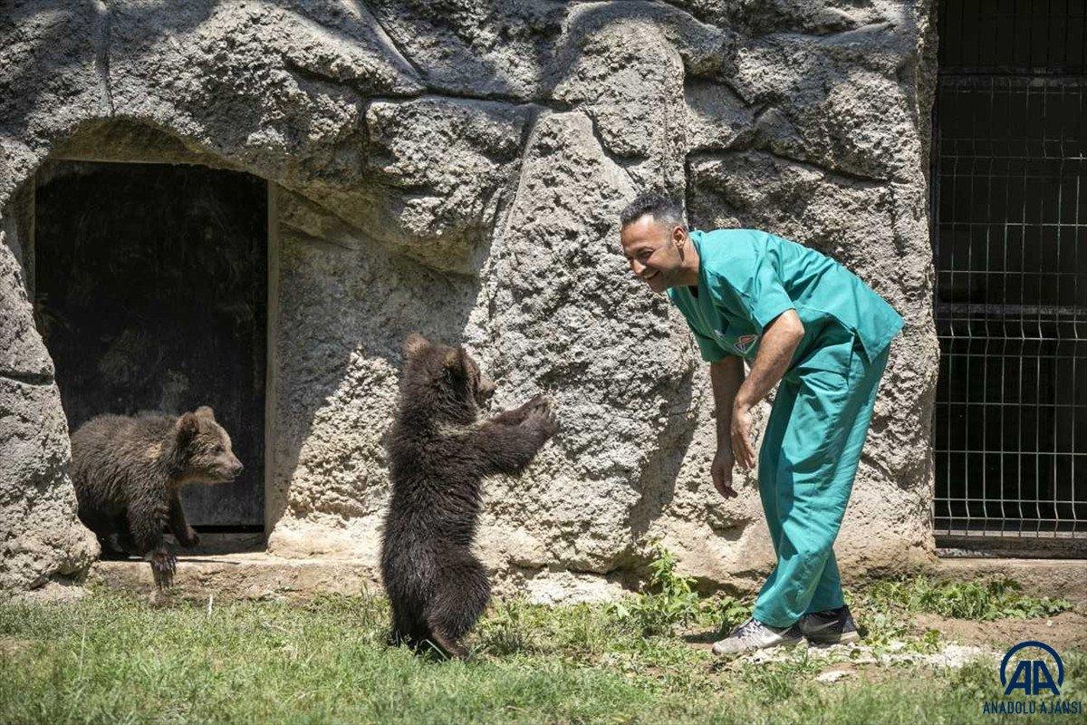 Yavru bozayılar İnci ve Güçlü, Tarsus Doğa Parkı'nın maskotu oldu