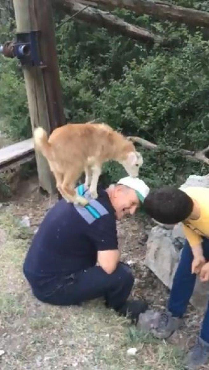 Artvinli ailenin sevimli dostları