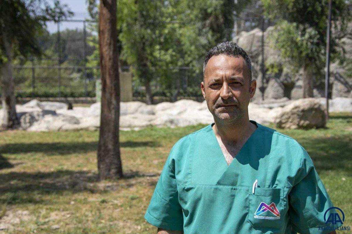 Yavru bozayılar İnci ve Güçlü, Tarsus Doğa Parkı'nın maskotu oldu