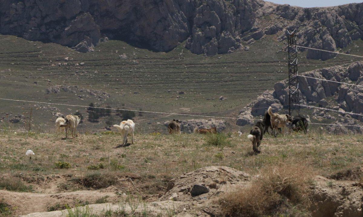 Van'da kaybolan minik Ruken'in cansız bedeni bulundu