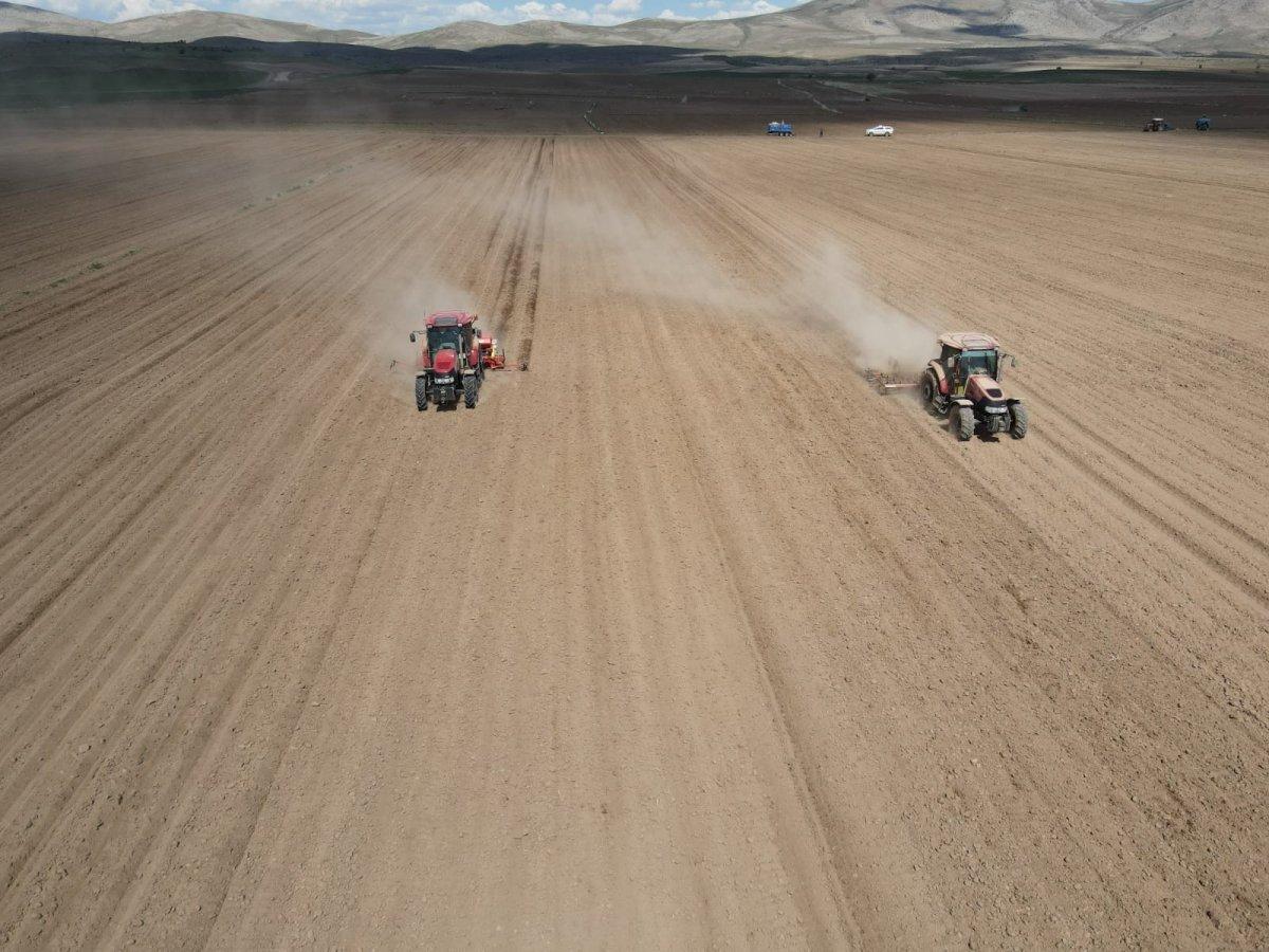 Kayseri'de kabak çekirdeği ekimi başladı