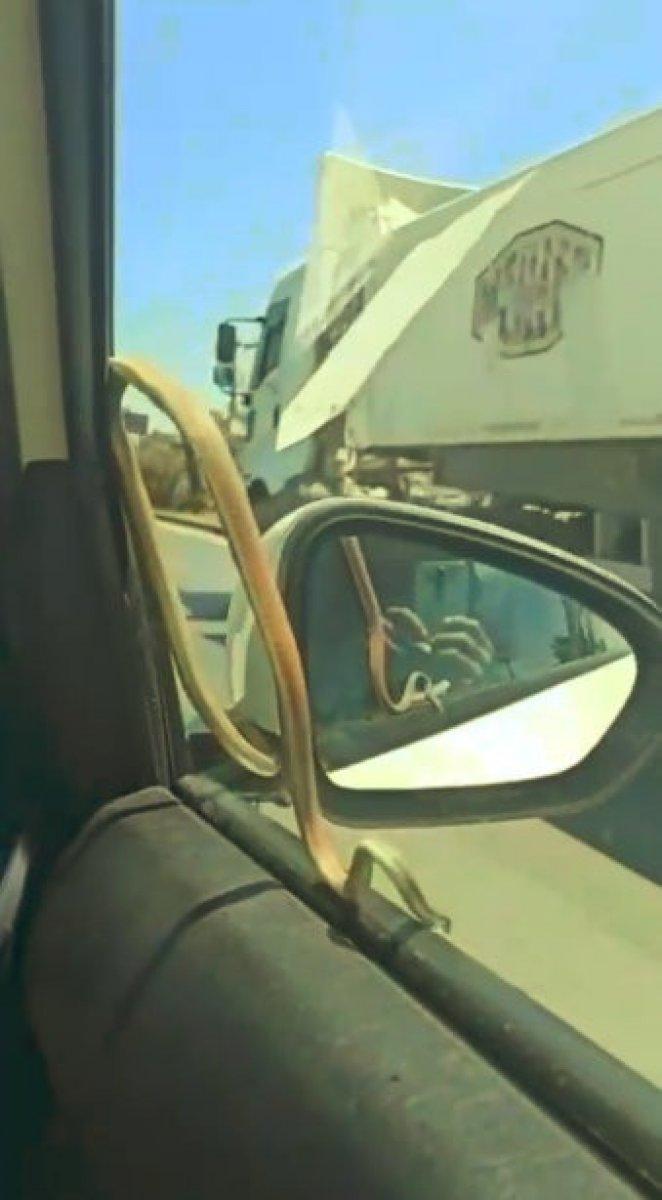 Antalya'da yılanla yolculuk yaptı