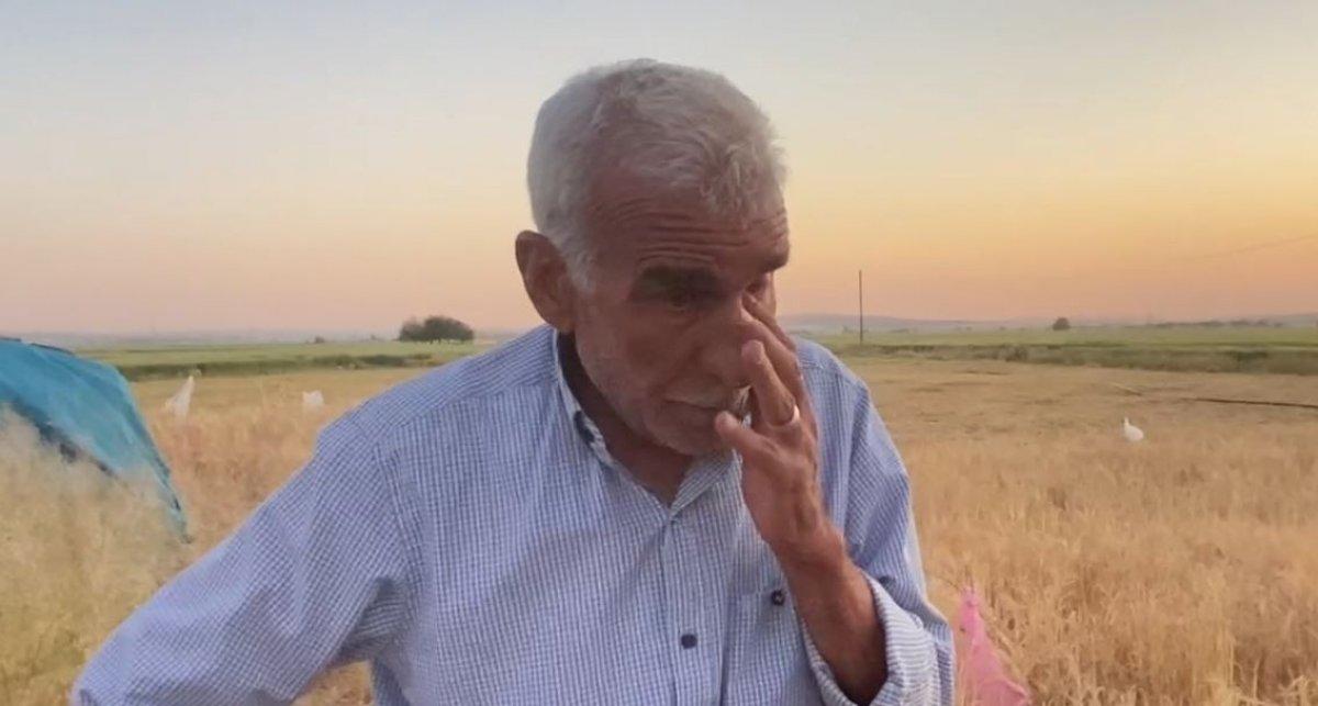 Şanlıurfa'da köpekleri ölen yaşlı çiftin gözyaşları