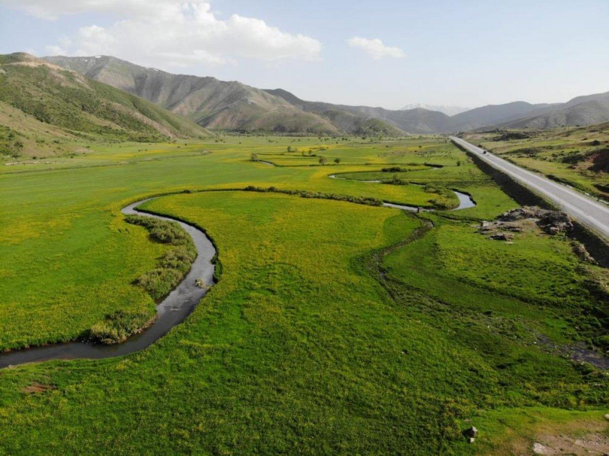 Bitlis'te menderesler görsel şölen sunuyor