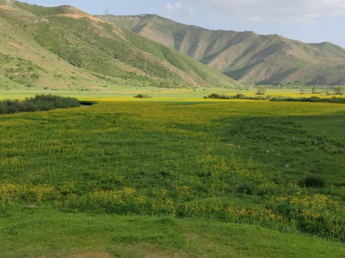 Bitlis'te menderesler görsel şölen sunuyor