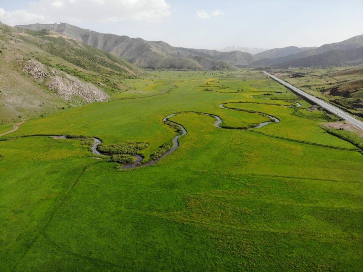 Bitlis'te menderesler görsel şölen sunuyor