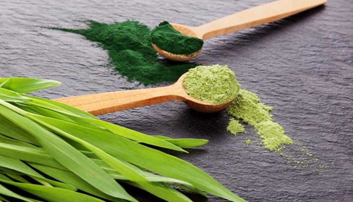 Kolesterolü kontrol altına alan süper gıda: Klorellanın faydaları