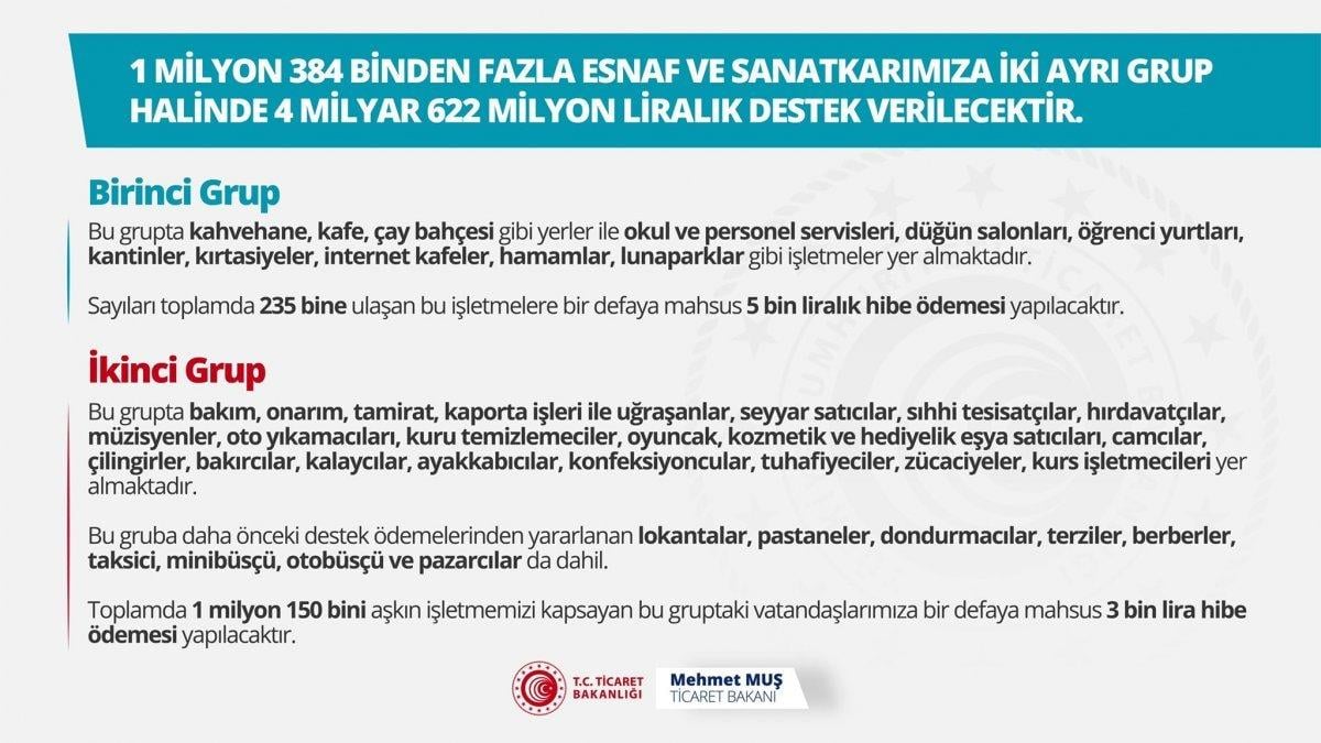 5000 TL hibe desteği kimlere verilecek? 5 bin TL hibe desteği başvuru ekranı 2021
