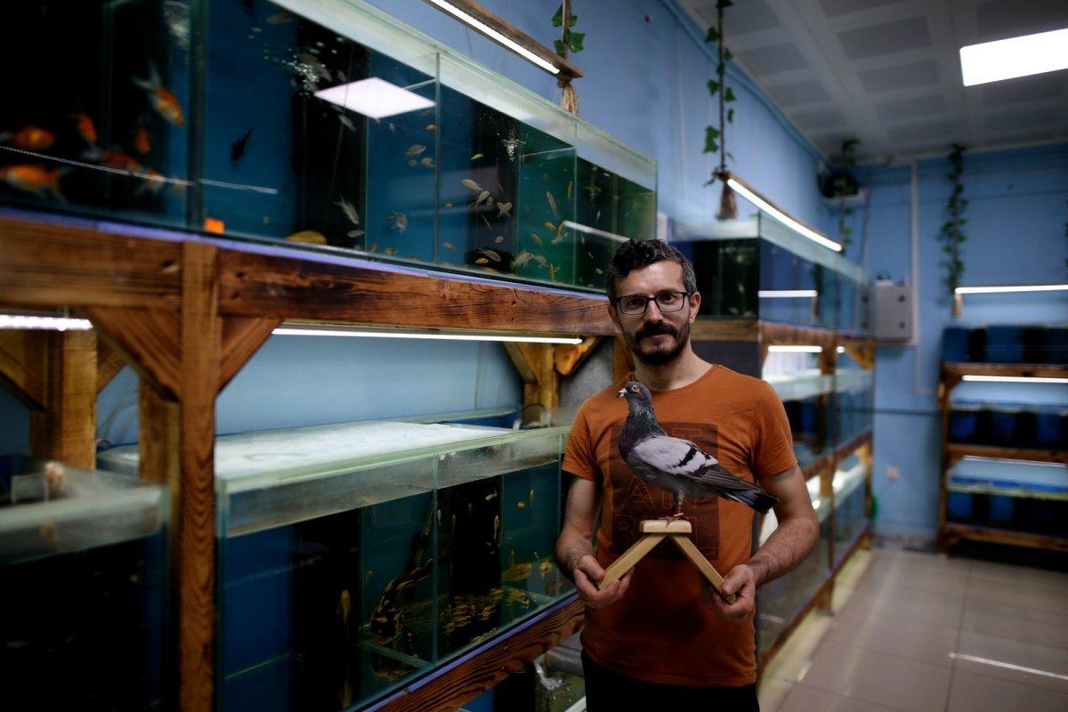 Bursa'da ölen posta güvercinini donduran hayvansever