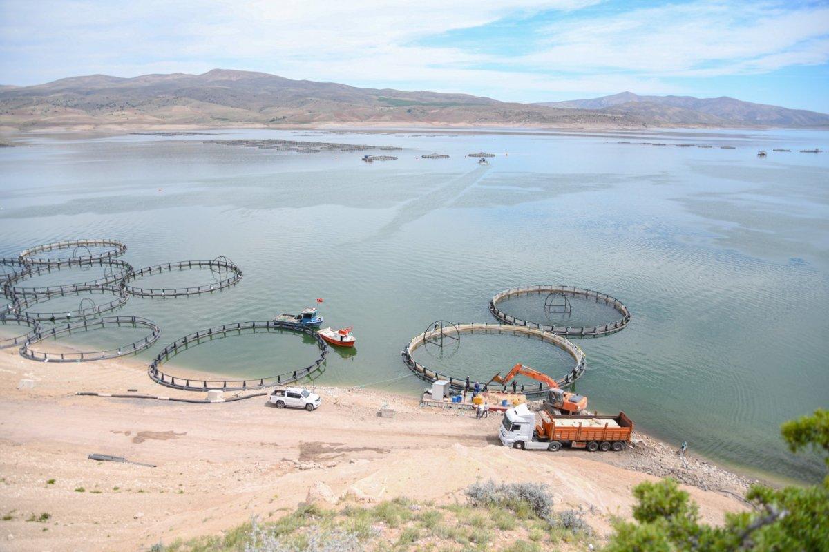 Kayseri’de yetiştirilen Türk somonu, iç ve dış piyasaya sunuluyor