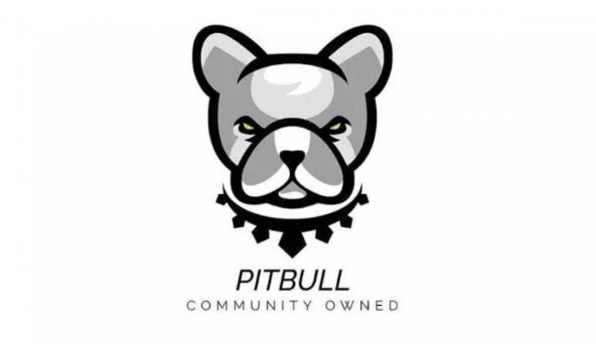 Pitbull Coin nedir? Pitbull (PIT) Coin hakkında merak edilenler..