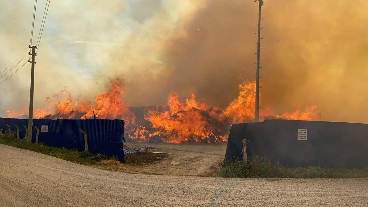 Afyonkarahisar’da enerji santralinde yangın