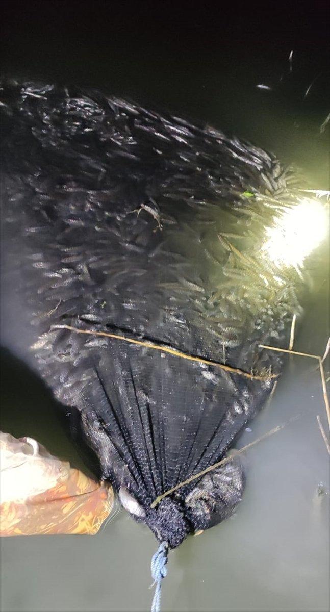 Van'da kaçak avlanılan 15 ton 200 kilo inci kefali suya bırakıldı