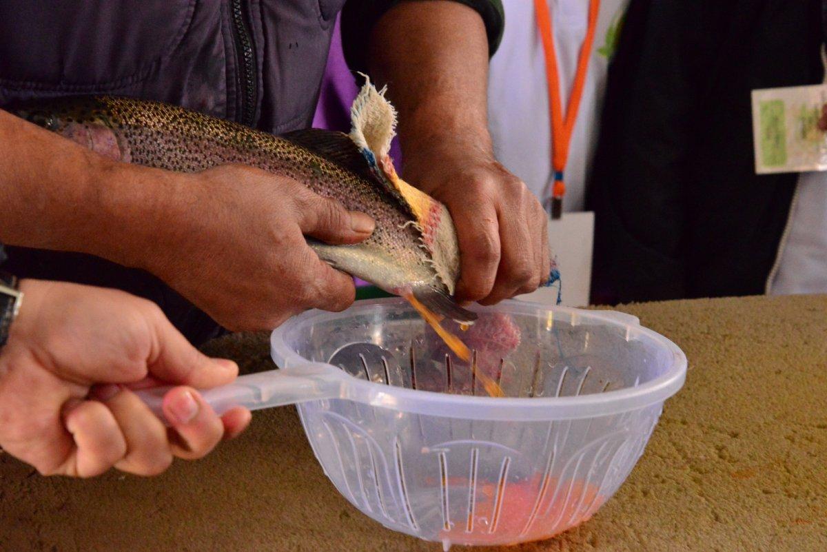 Kayseri’de yetiştirilen Türk somonu, iç ve dış piyasaya sunuluyor