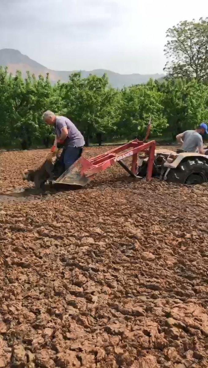 Bursa’da bataklığa saplanan köpeği, çiftçiler kurtardı