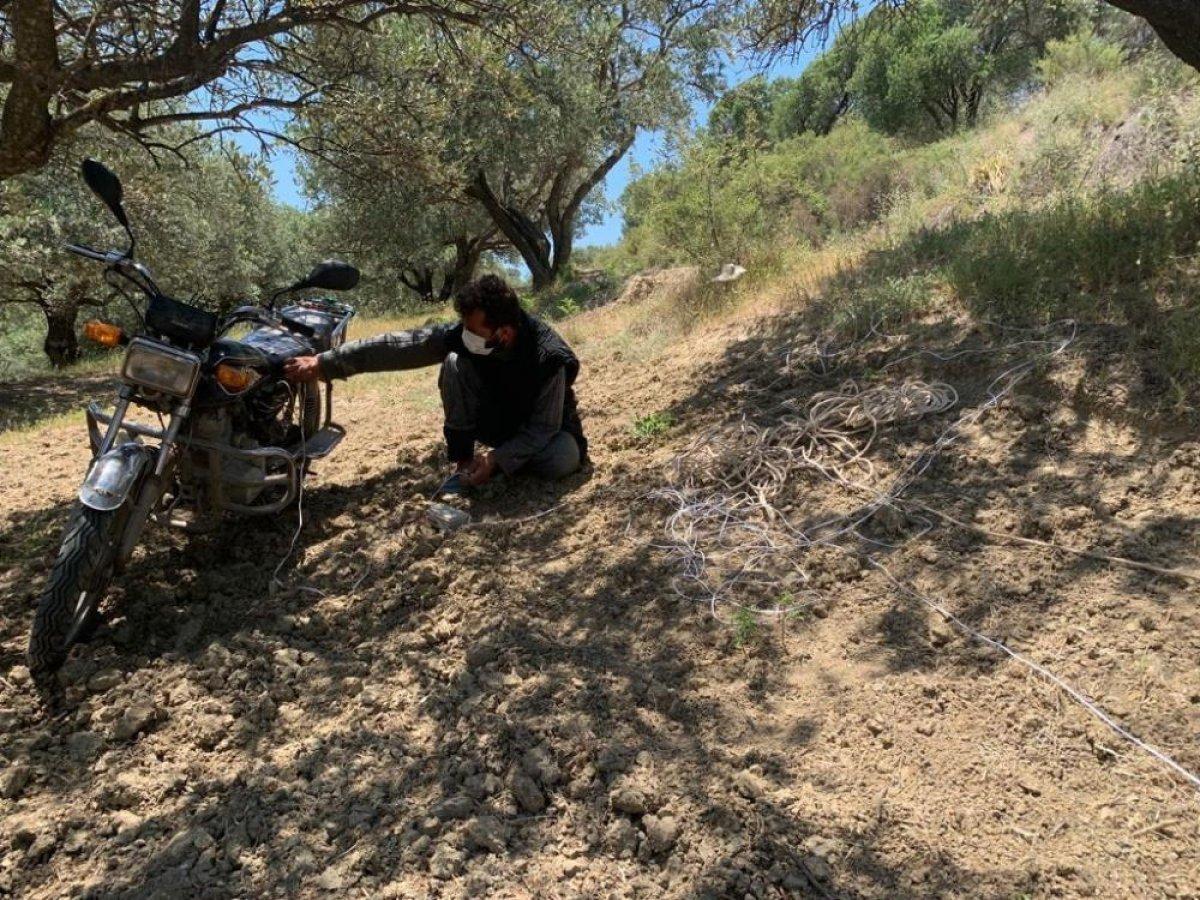 Hatay'da saka kuşunu yakaladı: 14 bin 357 lira ceza aldı