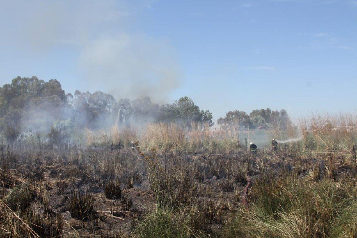 Antalya'da sazlık alan yanarak küle döndü