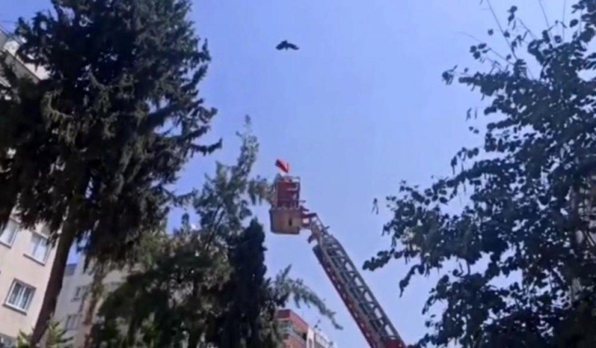 Mersin'de 'anne karga' itfaiye ekiplerine saldırdı