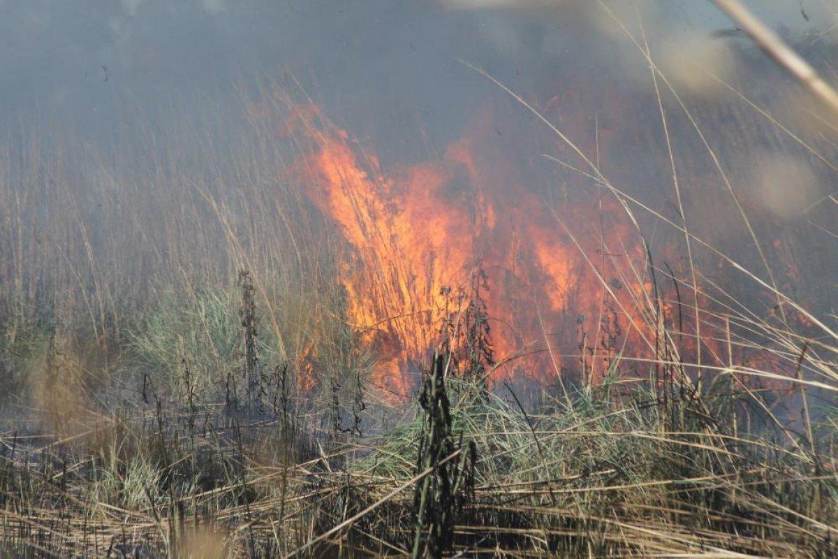 Antalya'da sazlık alan yanarak küle döndü