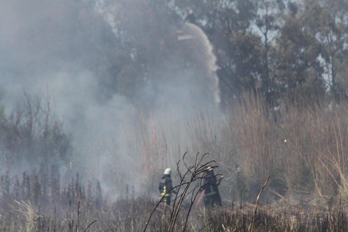 Antalya'da sazlık alan yanarak küle döndü