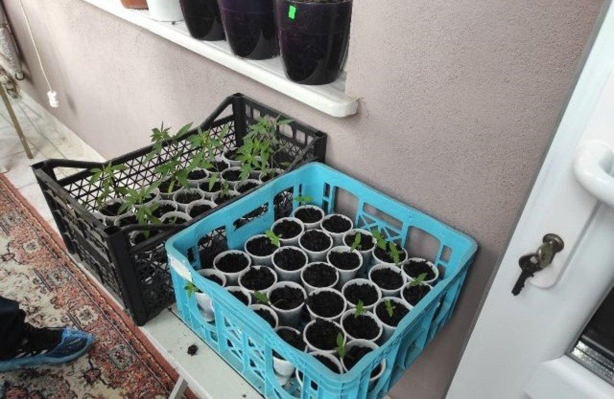 Sakarya'da uyuşturucu tacirlerine şafak operasyonu: 9 gözaltı