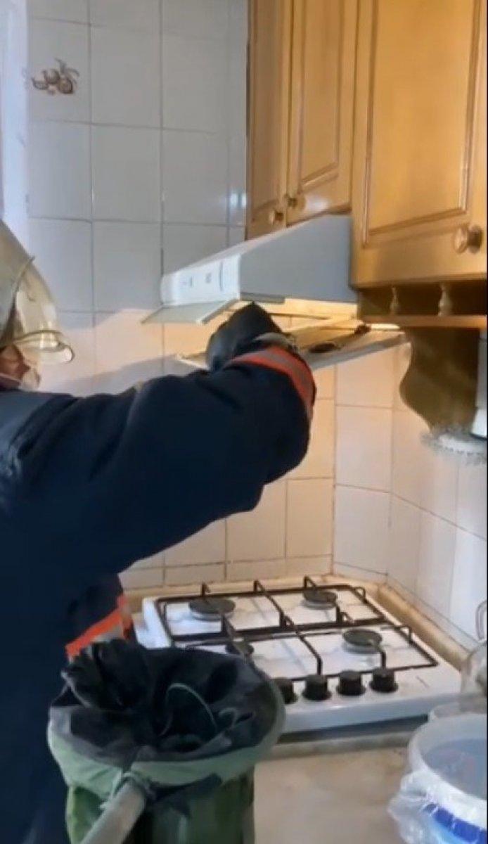 Mersin'de yarasalar, mutfaktaki davlumbaza girdi