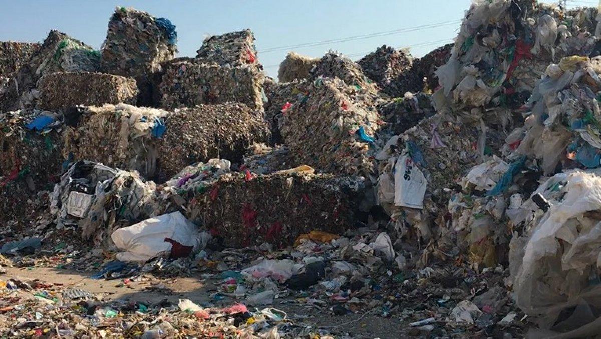 Tek kullanımlık plastik atığın yarısından fazlası 20 şirkete ait
