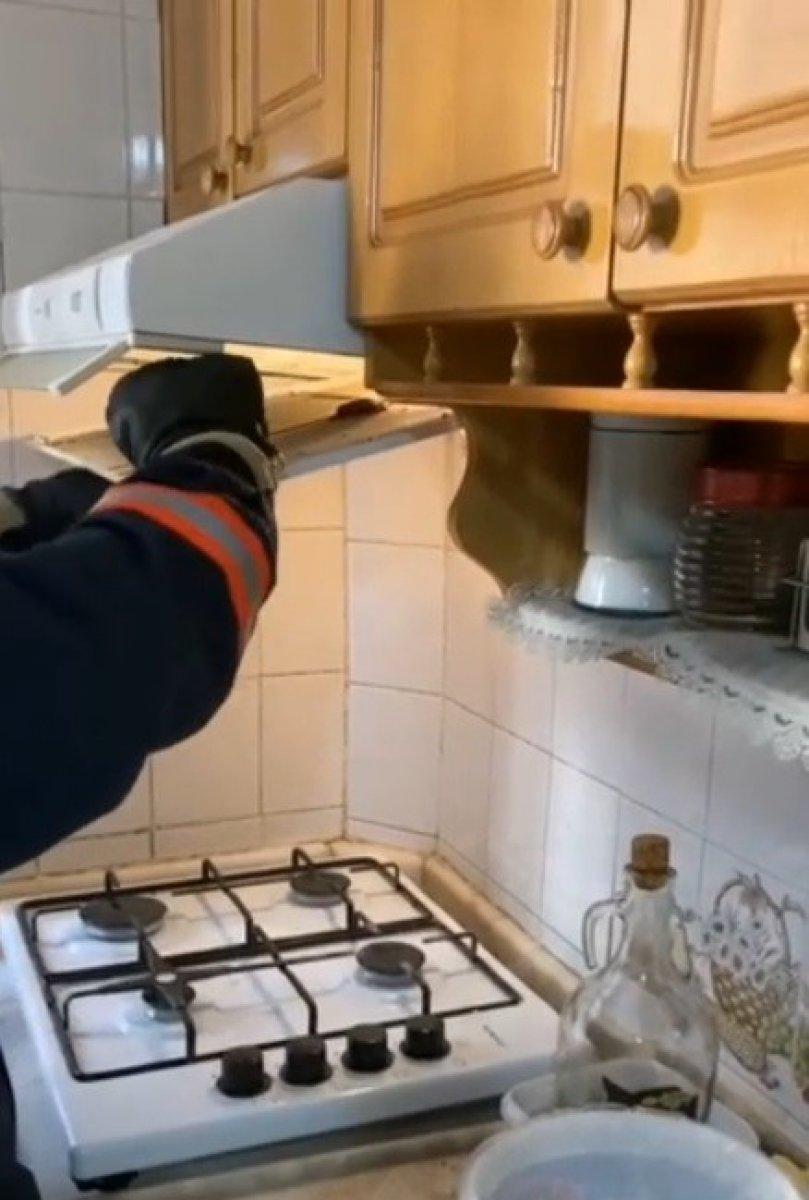 Mersin'de yarasalar, mutfaktaki davlumbaza girdi