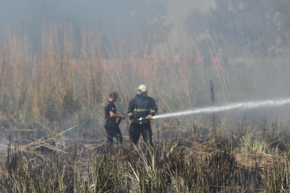 Antalya'da sazlık alan yanarak küle döndü