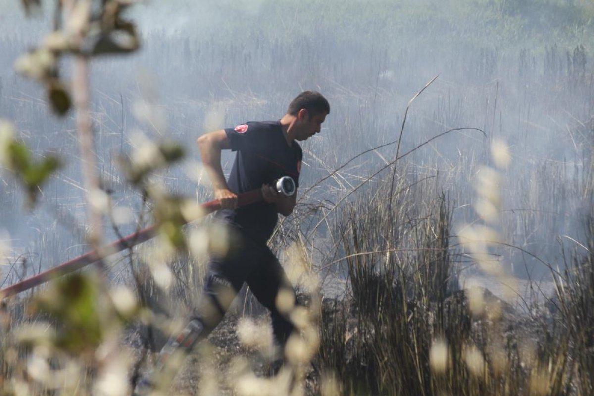 Antalya'da sazlık alan yanarak küle döndü